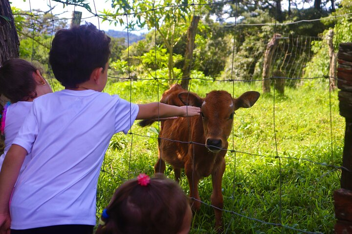 Finca El Paraiso Farm Cheese Tour in Monteverde - Photo 1 of 6